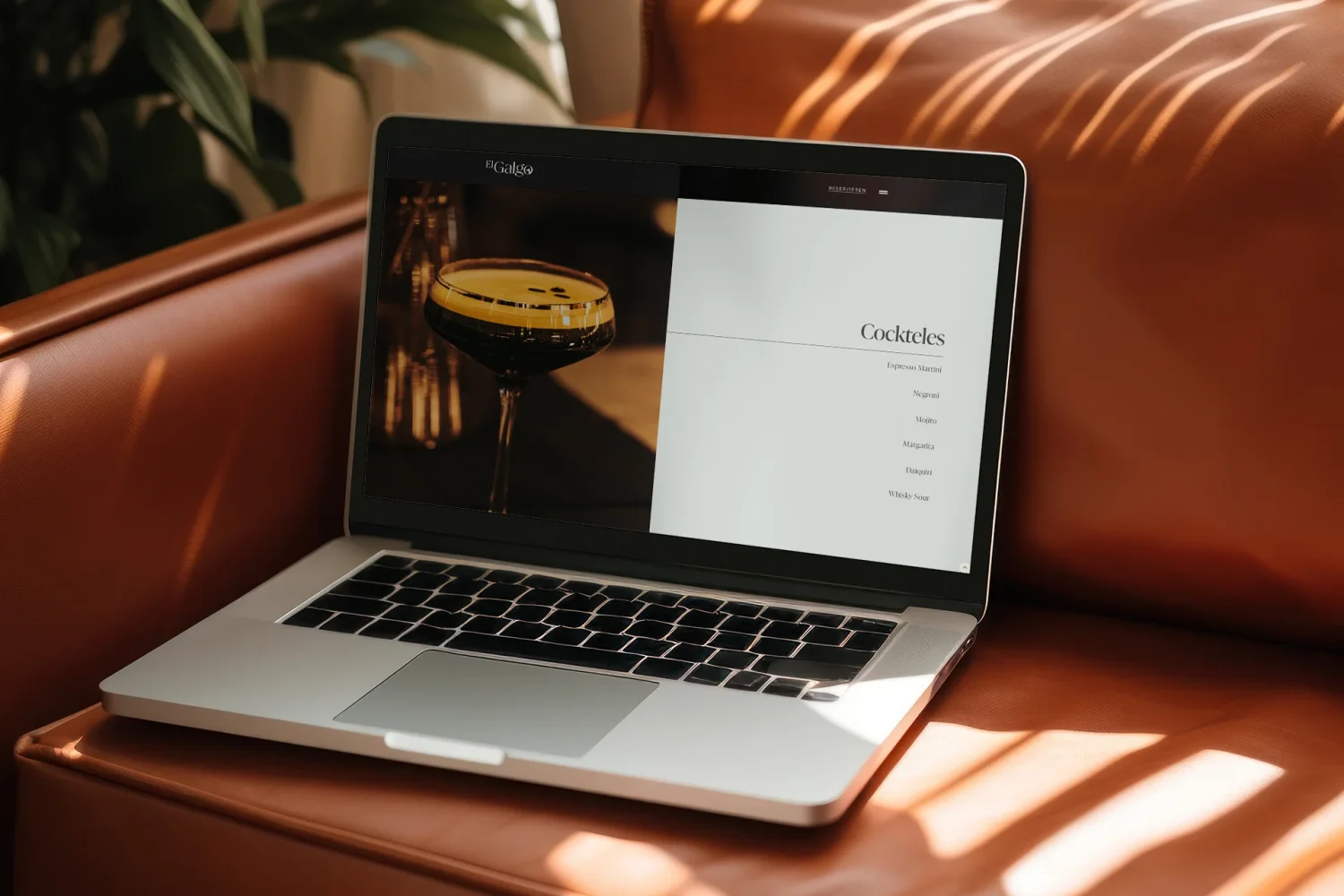 el-galgo-web-project-grafykal-design-studio-9